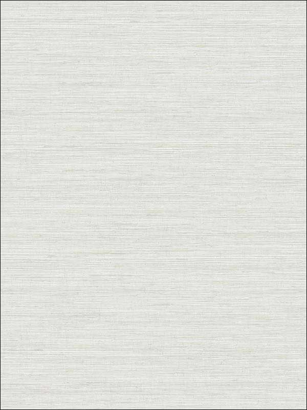 Metallic Texture fabric in soft grey color - pattern number RM70900 - by Casa Mia in the Zircon collection