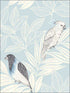 Paradise Island Birds fabric in blue oasis and ivory color - pattern number RY30102 - by Seabrook in the Boho Rhapsody collection