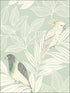 Paradise Island Birds fabric in mint and ivory color - pattern number RY30104 - by Seabrook in the Boho Rhapsody collection
