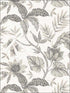 Rainforest Leaves fabric in ivory and stone color - pattern number RY30205 - by Seabrook in the Boho Rhapsody collection