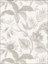 Rainforest Leaves fabric in ivory and daydream gray color - pattern number RY30208 - by Seabrook in the Boho Rhapsody collection
