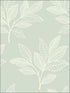 Paradise Leaves wallpaper in mint color - pattern number RY30804 - by Seabrook in the Boho Rhapsody collection