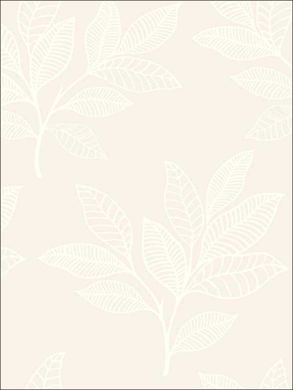 Paradise Leaves wallpaper in sand dune color - pattern number RY30820 - by Seabrook in the Boho Rhapsody collection