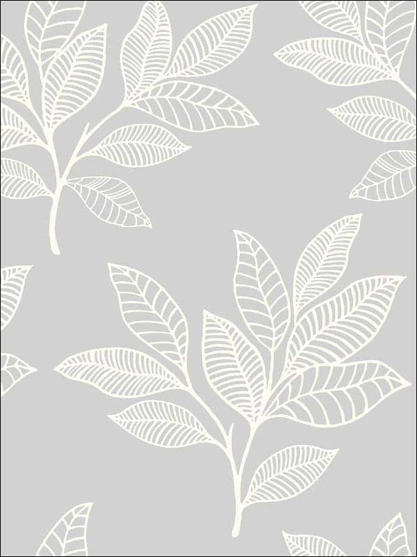 Paradise Leaves wallpaper in daydream gray color - pattern number RY30800 - by Seabrook in the Boho Rhapsody collection
