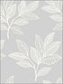 Paradise Leaves wallpaper in daydream gray color - pattern number RY30800 - by Seabrook in the Boho Rhapsody collection