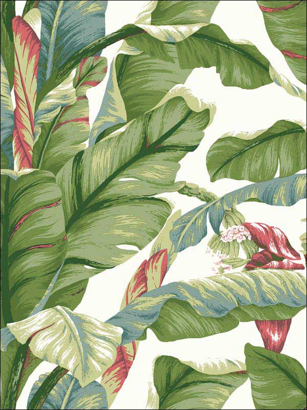 Banana Leaf Peel and Stick wallpaper in white and green color - pattern number PSW1034RL - by York in the York Premium Peel and Stick Tropics Wallpaper collection