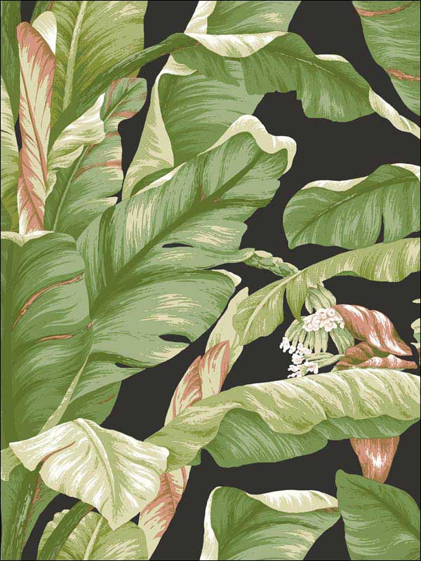 Banana Leaf Peel and Stick wallpaper in black and green color - pattern number PSW1035RL - by York in the York Premium Peel and Stick Tropics Wallpaper collection