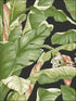 Banana Leaf Peel and Stick wallpaper in black and green color - pattern number PSW1035RL - by York in the York Premium Peel and Stick Tropics Wallpaper collection
