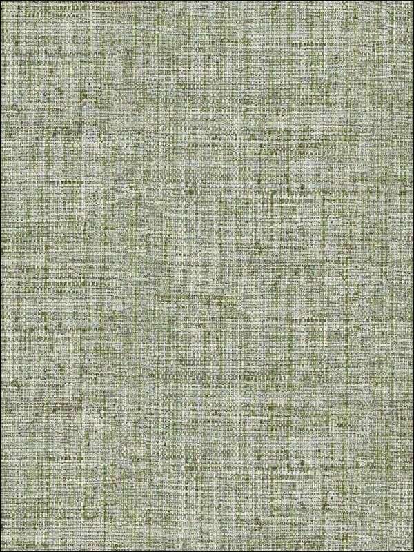 Papyrus Weave Peel and Stick wallpaper in green color - pattern number PSW1038RL - by York in the York Premium Peel and Stick Tropics Wallpaper collection
