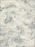 Coastal Map Peel and Stick wallpaper in blue and beige color - pattern number PSW1132RL - by York in the York Premium Peel and Stick Coastal Wallpaper collection