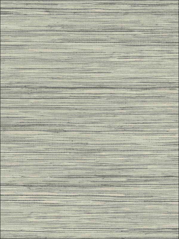 Bahia Grass Peel and Stick wallpaper in grey color - pattern number PSW1138RL - by York in the York Premium Peel and Stick Coastal Wallpaper collection