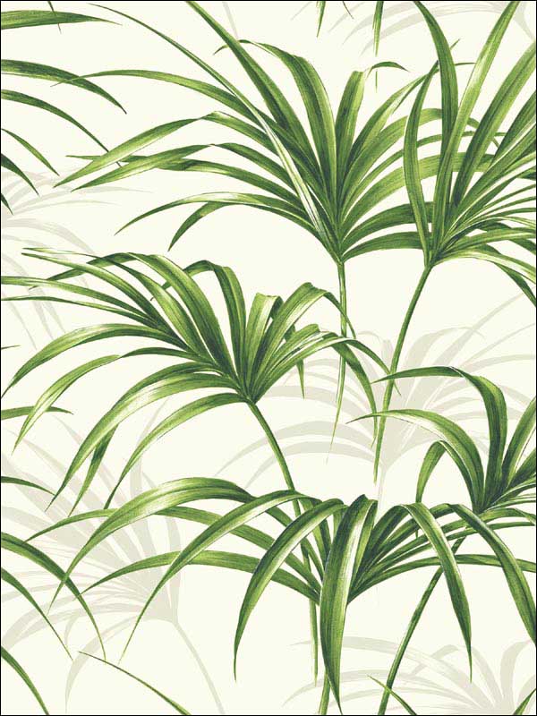 Tropical Palm Leaf Peel and Stick wallpaper in green and off white color - pattern number NW32504 - by NextWall in the Peel and Stick Wallpaper by Nextwall collection