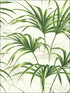 Tropical Palm Leaf Peel and Stick wallpaper in green and off white color - pattern number NW32504 - by NextWall in the Peel and Stick Wallpaper by Nextwall collection