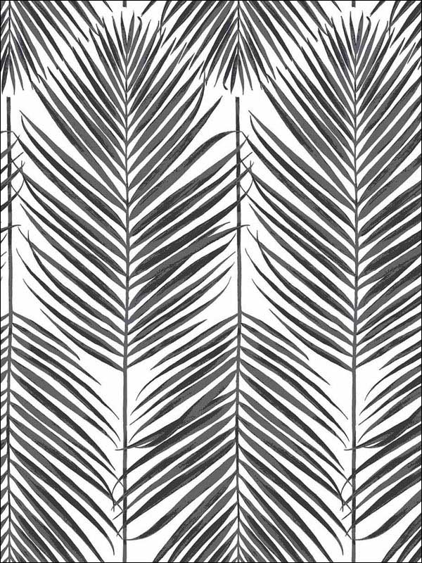 Paradise Palm Peel and Stick wallpaper in ebony color - pattern number NW33000 - by NextWall in the Peel and Stick Wallpaper by Nextwall collection