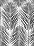 Paradise Palm Peel and Stick wallpaper in ebony color - pattern number NW33000 - by NextWall in the Peel and Stick Wallpaper by Nextwall collection