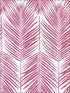 Paradise Palm Peel and Stick wallpaper in cerise pink color - pattern number NW33001 - by NextWall in the Peel and Stick Wallpaper by Nextwall collection