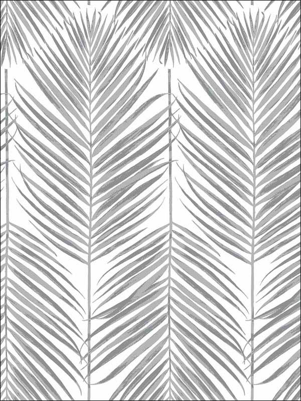 Paradise Palm Peel and Stick wallpaper in daydream gray color - pattern number NW33008 - by NextWall in the Peel and Stick Wallpaper by Nextwall collection