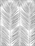 Paradise Palm Peel and Stick wallpaper in daydream gray color - pattern number NW33008 - by NextWall in the Peel and Stick Wallpaper by Nextwall collection