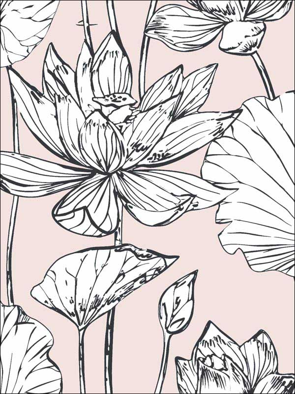 Lotus Floral Peel and Stick wallpaper in blush and ebony color - pattern number NW33101 - by NextWall in the Peel and Stick Wallpaper by Nextwall collection