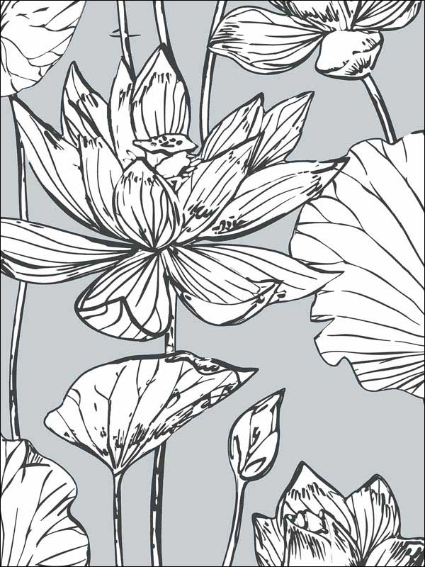 Lotus Floral Peel and Stick wallpaper in gray and ebony color - pattern number NW33108 - by NextWall in the Peel and Stick Wallpaper by Nextwall collection