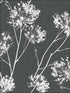 One O Clocks Peel and Stick wallpaper in charcoal color - pattern number NW36000 - by NextWall in the Peel and Stick Wallpaper by Nextwall collection