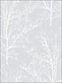 Tree Branches Peel and Stick wallpaper in daydream gray color - pattern number NW36108 - by NextWall in the Peel and Stick Wallpaper by Nextwall collection