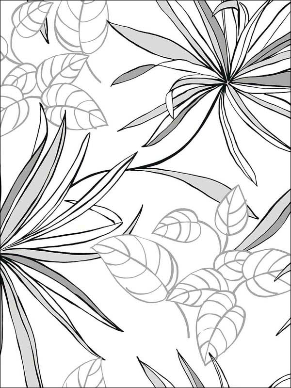 Spider Plants Peel and Stick wallpaper in grayscale color - pattern number NW36300 - by NextWall in the Peel and Stick Wallpaper by Nextwall collection