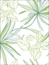 Spider Plants Peel and Stick wallpaper in green color - pattern number NW36304 - by NextWall in the Peel and Stick Wallpaper by Nextwall collection