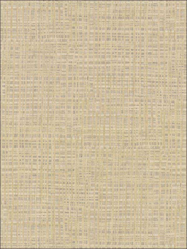 Montgomery Faux Grasscloth fabric in khaki color - pattern number 2921-50906 - by Warner in the Warner Textures IX 2754 Mainstreet collection