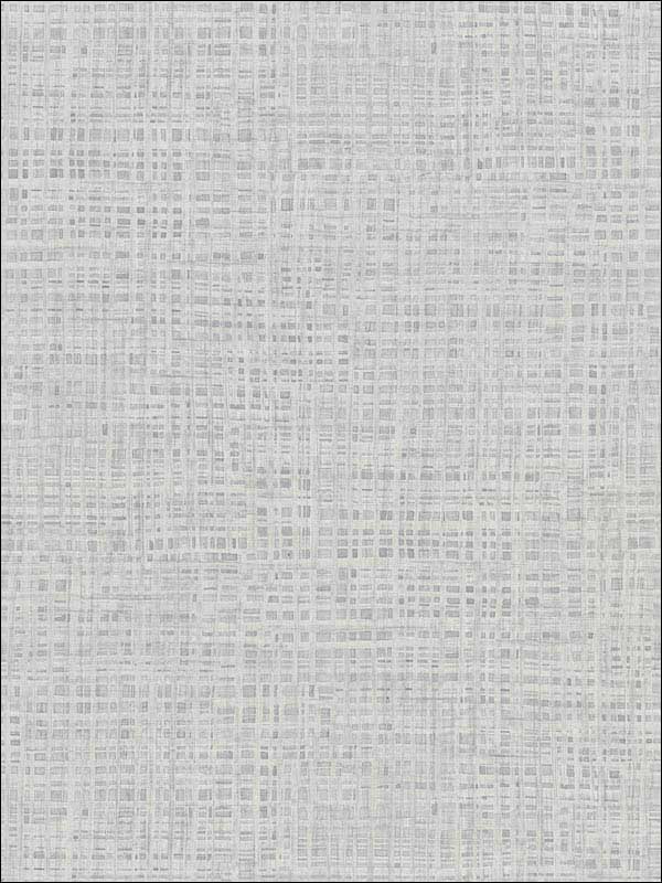 Montgomery Faux Grasscloth fabric in grey color - pattern number 2921-50918 - by Warner in the Warner Textures IX 2754 Mainstreet collection