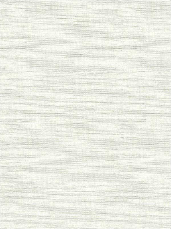 Agave Faux Grasscloth fabric in off white color - pattern number 2902-24281 - by A Street Prints in the Theory collection