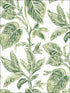 Mangrove Botanical fabric in green color - pattern number 3120-13621 - by Chesapeake in the Sanibel collection