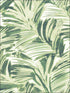 Chaparral Fronds wallpaper in green color - pattern number 3120-13712 - by Chesapeake in the Sanibel collection