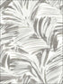 Chaparral Fronds wallpaper in grey color - pattern number 3120-13713 - by Chesapeake in the Sanibel collection