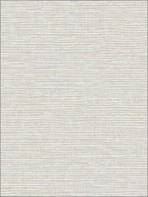 Vivanta Texture fabric in light grey color - pattern number 2949-60400 - by A Street Prints in the Imprint collection