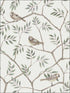 Crossbill Branches wallpaper in off white color - pattern number 2948-27015 - by A Street Prints in the Spring collection