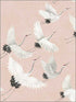 Windsong Bird wallpaper in pink color - pattern number 2904-24305 - by Brewster in the Fresh Start Kitchen and Bath collection