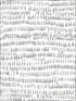 Runes Brushstrokes wallpaper in taupe color - pattern number 2904-24355 - by Brewster in the Fresh Start Kitchen and Bath collection