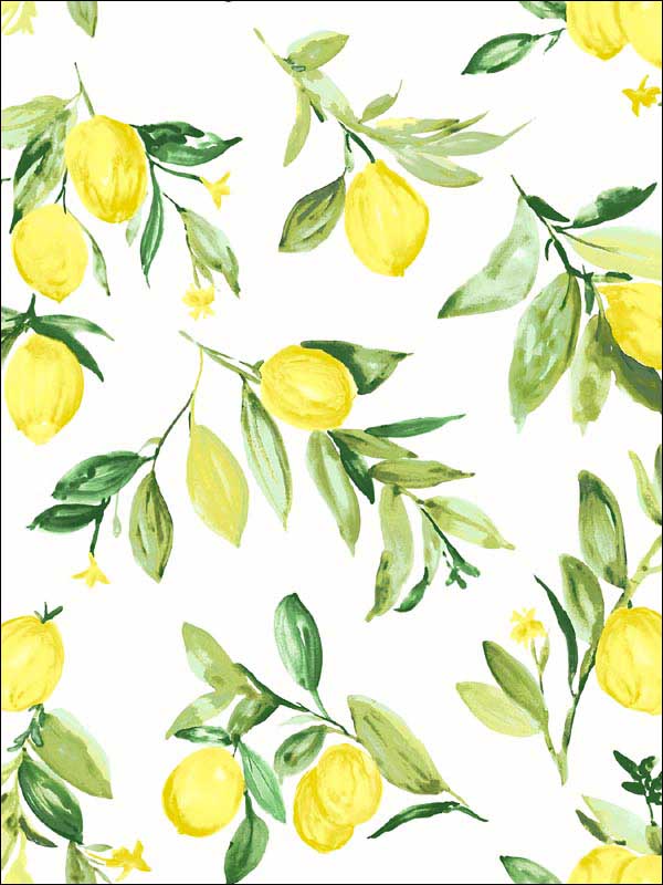 Limon Fruit wallpaper in chartreuse color - pattern number 2904-25686 - by Brewster in the Fresh Start Kitchen and Bath collection