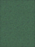 Malachite fabric in emerald black color - pattern number 114/17035.CS.0 - by Cole and Son in the Fornasetti Senza Tempo collection