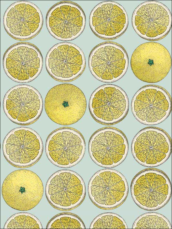 Arance wallpaper in lemon seafoam color - pattern number 114/24048.CS.0 - by Cole and Son in the Fornasetti Senza Tempo collection