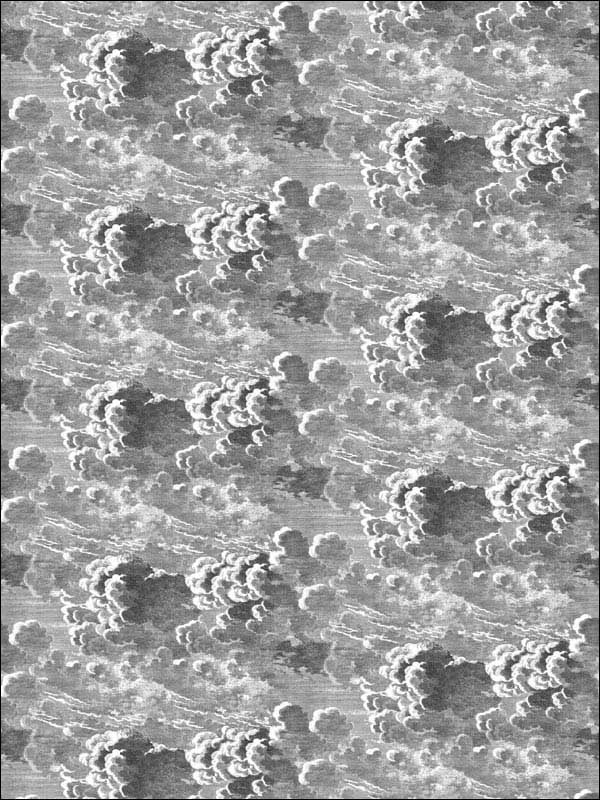 Nuvolette fabric in black white color - pattern number 114/28054.CS.0 - by Cole and Son in the Fornasetti Senza Tempo collection