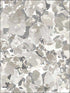 Bloom fabric in grey color - pattern number FW36824 - by Patton Norwall in the Fresh Watercolors collection