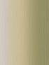 Shading Stripes wallpaper in gold green color - pattern number WF20604 - by Casa Mia in the Amber collection
