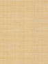 Palette wallpaper in gold metallic color - pattern number RI5185 - by Rifle Paper Co in the Rifle Paper Co collection