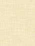 Hopsack Embossed Vinyl fabric in pineapple cream color - pattern number LW51117 - by Seabrook in the Living With Art II collection