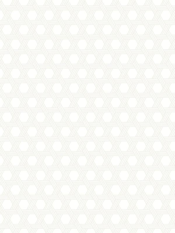 Cabana Wicker wallpaper in gray and eggshell color - pattern number LN10200 - by Seabrook in the Lillian August Luxe Retreat collection