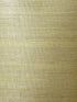 Sisal Grasscloth fabric in metallic gold and aloe color - pattern number LN11864 - by Seabrook in the Lillian August Luxe Retreat collection