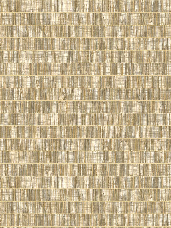 Blue Grass Band fabric in ginseng color - pattern number TC70006 - by Seabrook in the More Textures collection