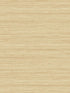 Shantung Silk fabric in barley color - pattern number TC70306 - by Seabrook in the More Textures collection